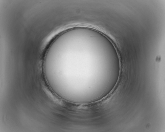 X0000092251503200709140955