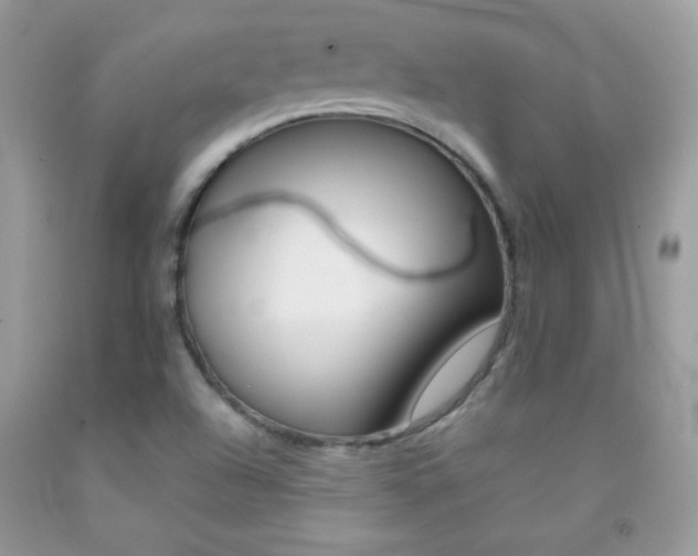 X0000092251504200709140955