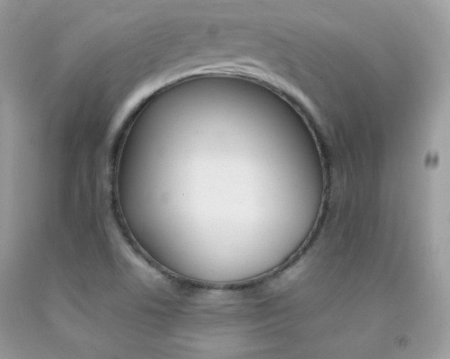 X0000092251506200709140955