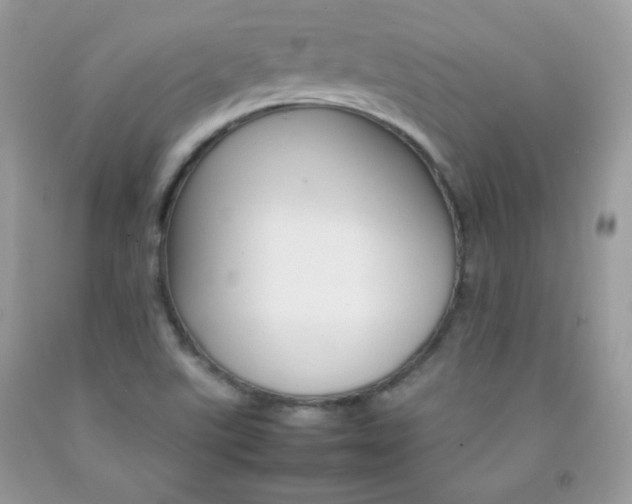 X0000092251507200709140955