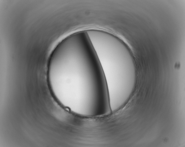 X0000092251508200709140955
