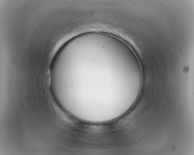 X0000092251509200709140955