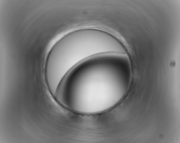 X0000092251512200709140955