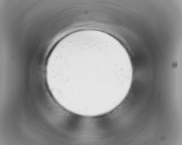 X0000092251514200709140955