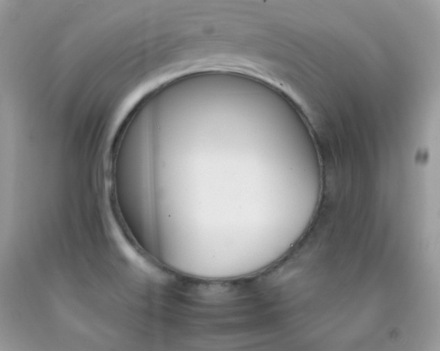 X0000092251515200709140955