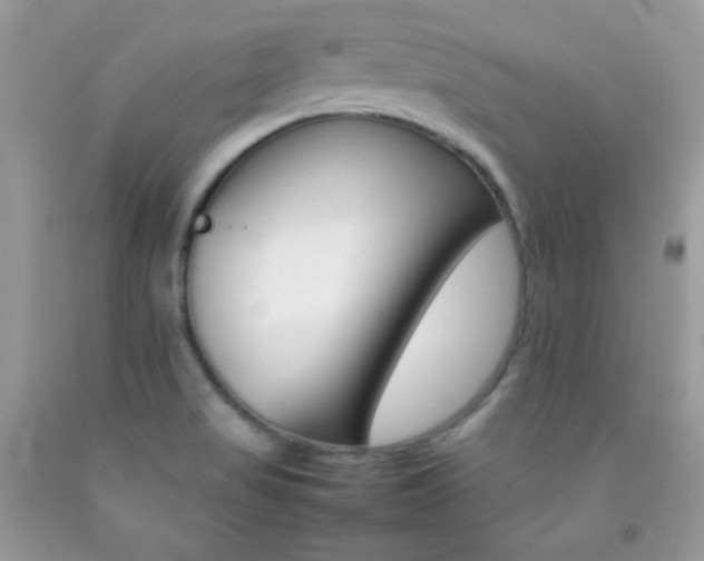 X0000092251517200709140955