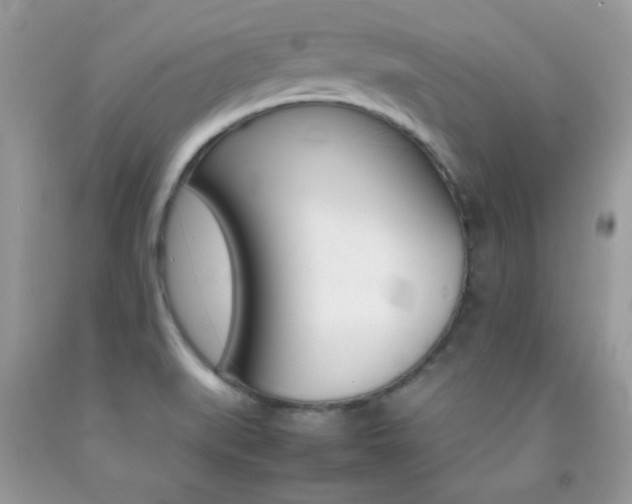 X0000092251519200709140955