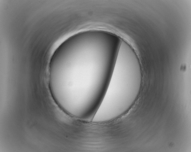 X0000092251520200709140955