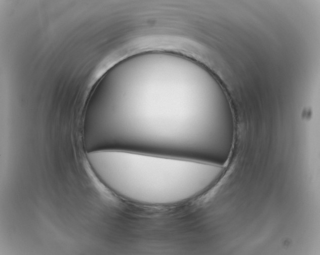 X0000092251521200709140955