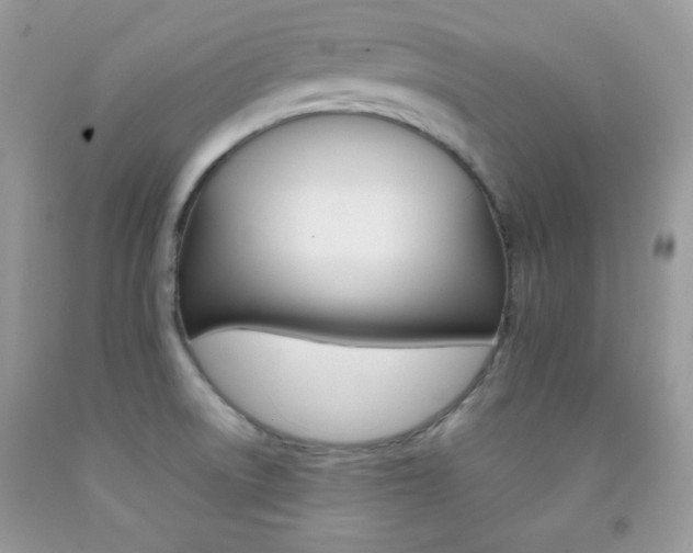 X0000092251522200709140955