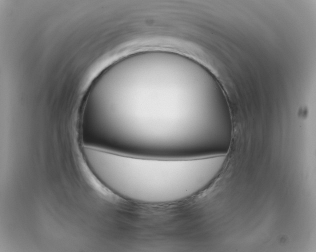 X0000092251523200709140955