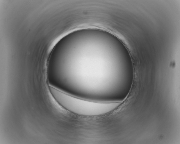 X0000092251524200709140955