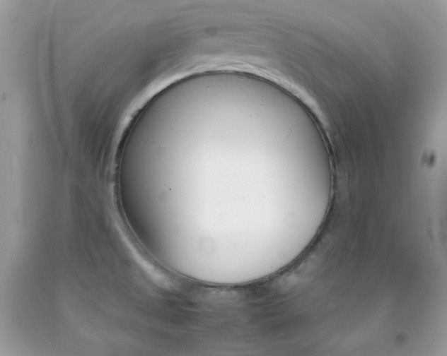 X0000092251525200709140955