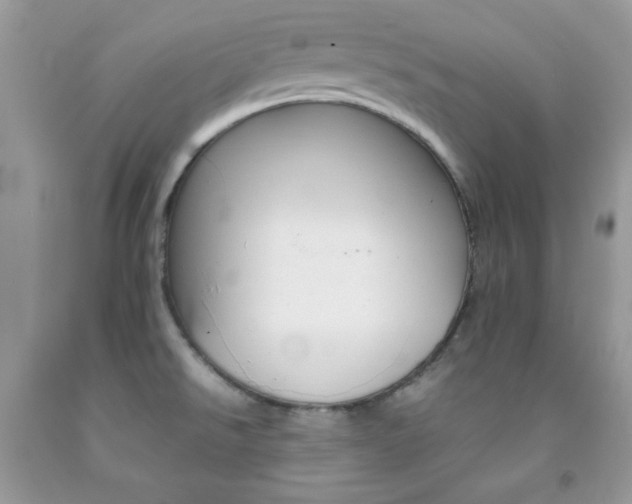 X0000092251526200709140955