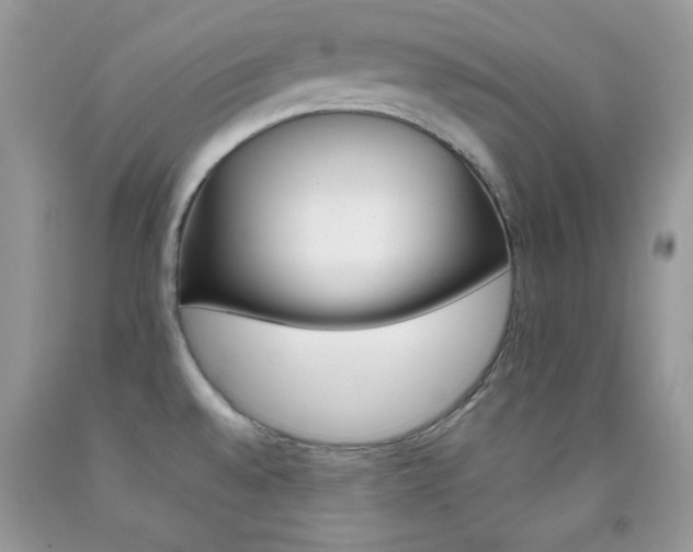 X0000092251528200709140955