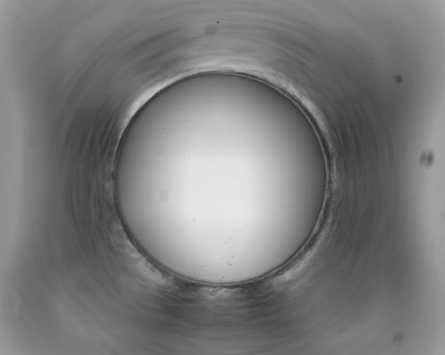 X0000092251529200709140955