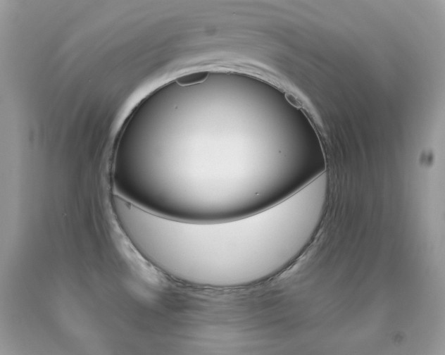 X0000092251530200709140955