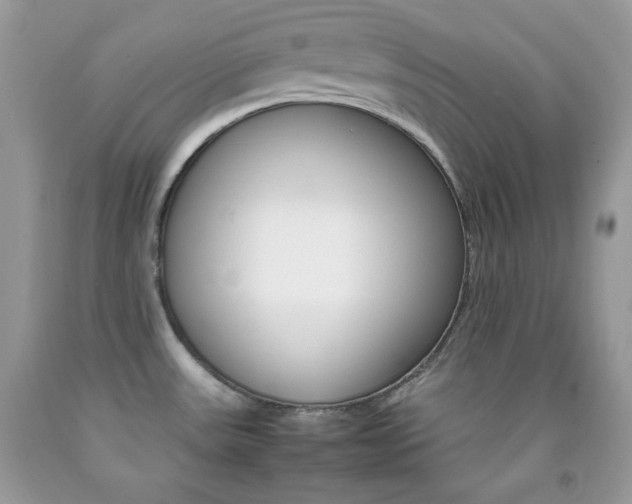 X0000092251531200709140955