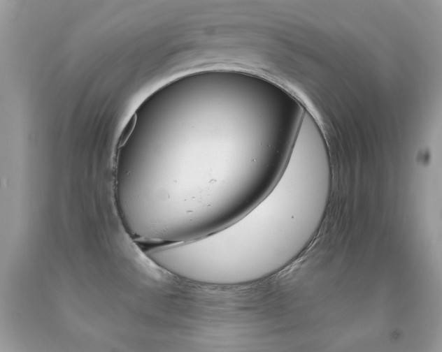 X0000092251532200709140955