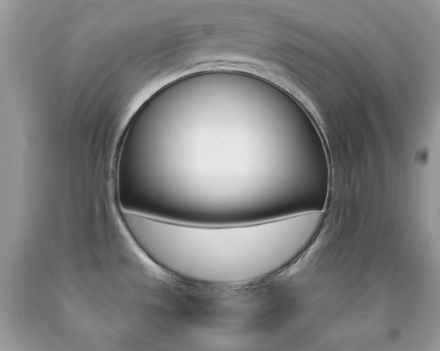 X0000092251533200709140955