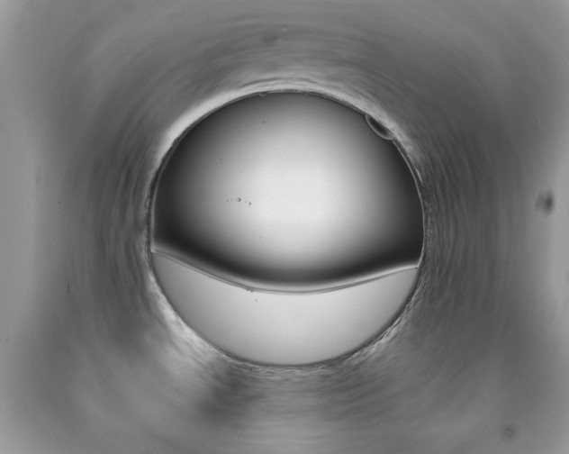 X0000092251534200709140955