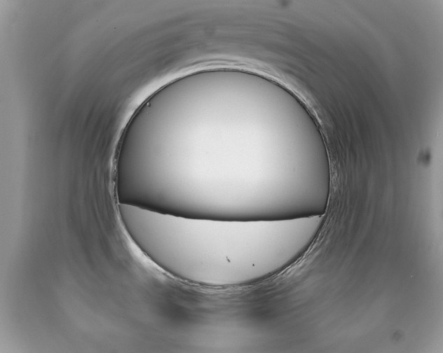 X0000092251535200709140955