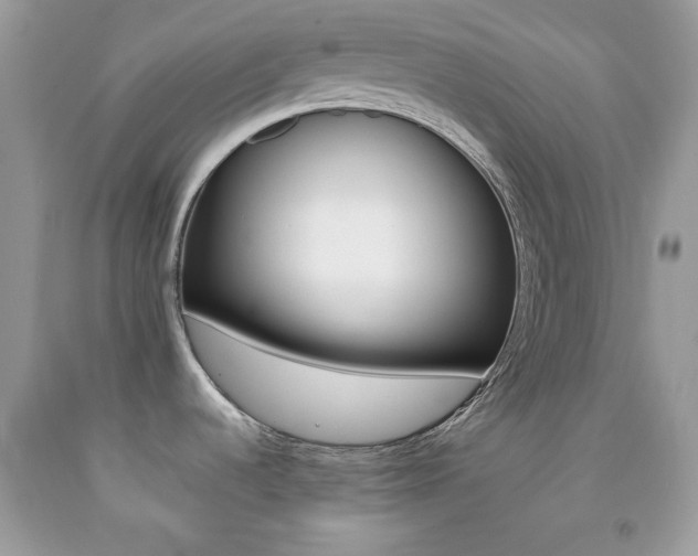 X0000092251536200709140955