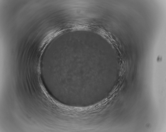 X0000092250002200709141157