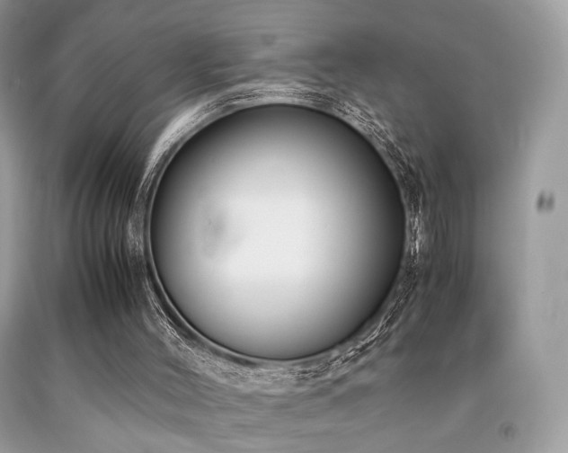 X0000092250004200709141157