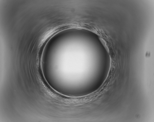 X0000092250005200709141157