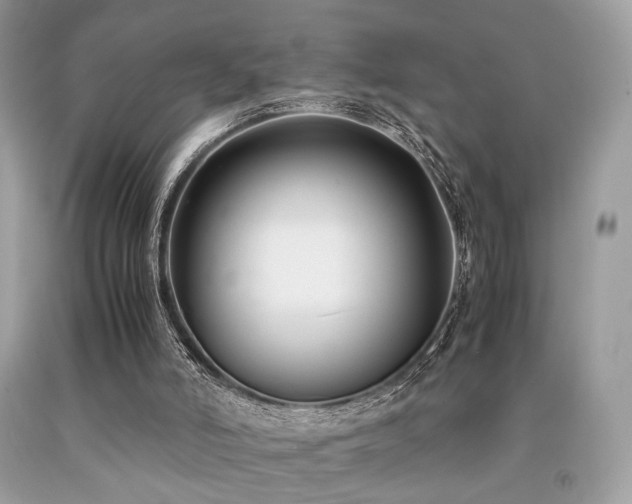 X0000092250006200709141157