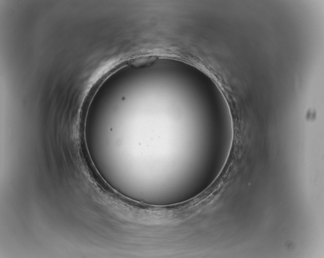 X0000092250008200709141157