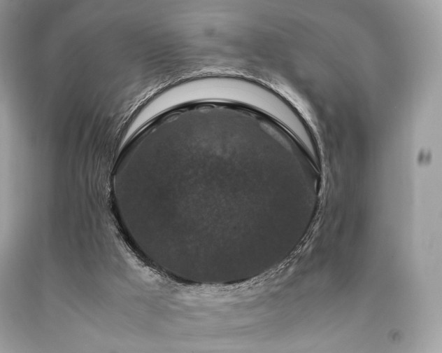 X0000092250009200709141157