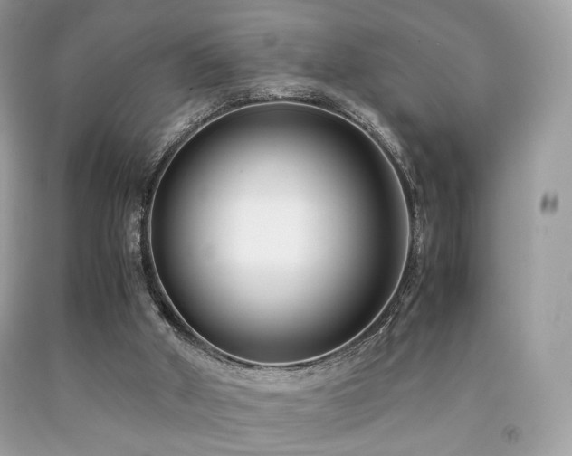 X0000092250010200709141157