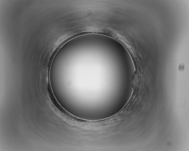 X0000092250011200709141157