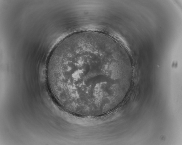 X0000092250012200709141157