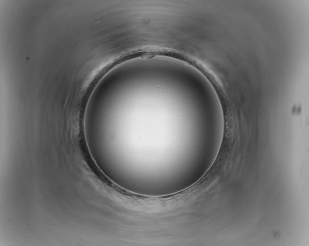 X0000092250015200709141157