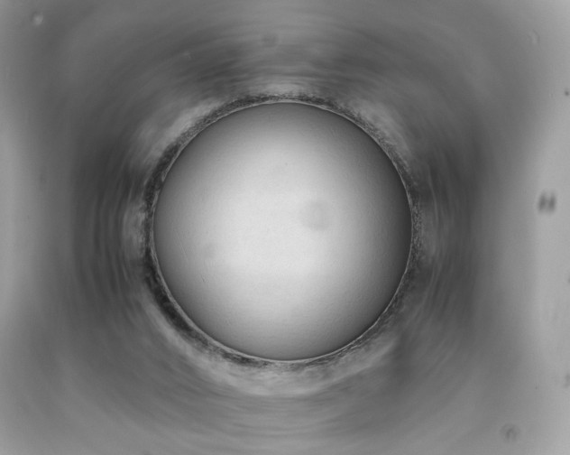 X0000092250016200709141157