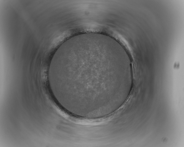 X0000092250017200709141157