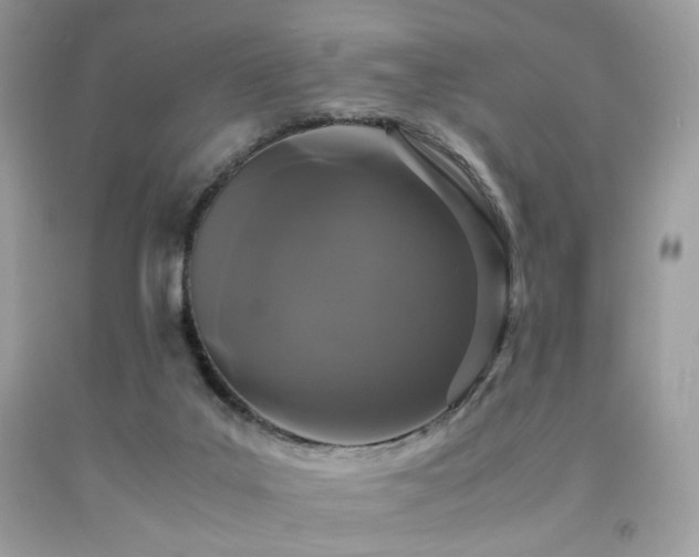 X0000092250019200709141157