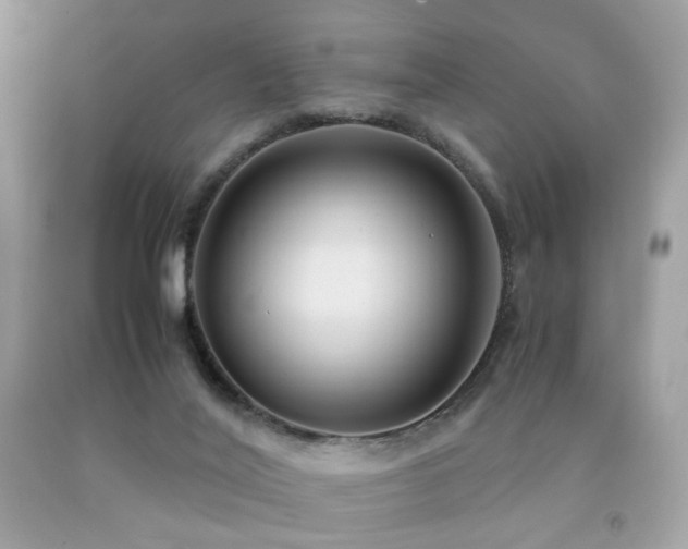 X0000092250020200709141157