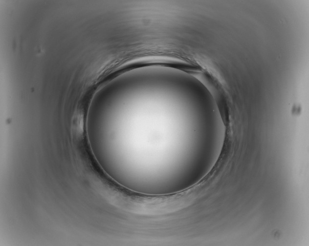 X0000092250021200709141157