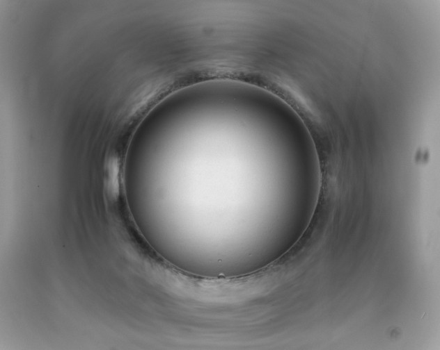 X0000092250022200709141157