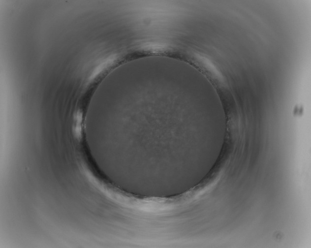X0000092250024200709141157