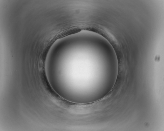 X0000092250025200709141157