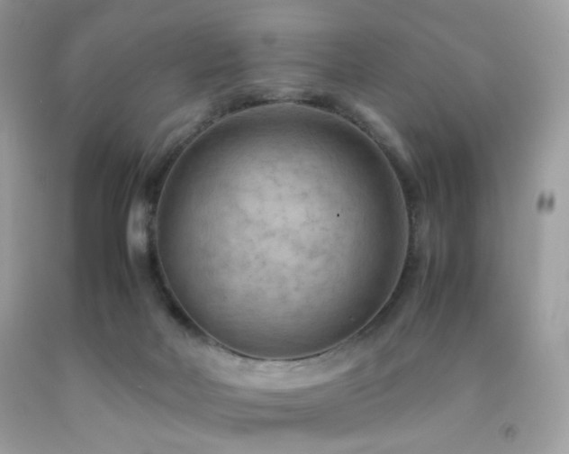 X0000092250026200709141157
