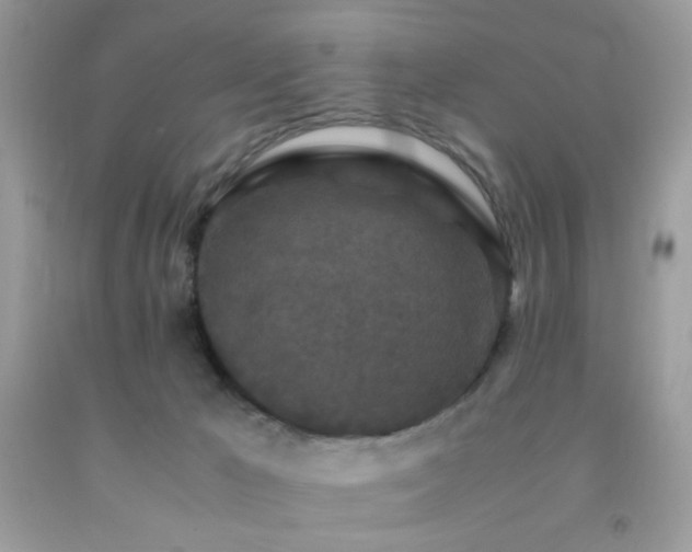 X0000092250029200709141157