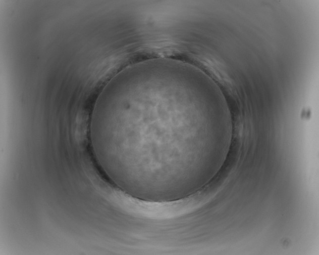 X0000092250030200709141157