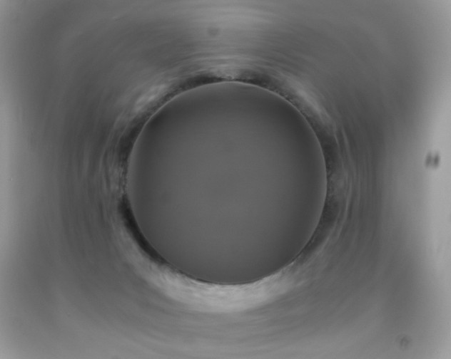 X0000092250031200709141157