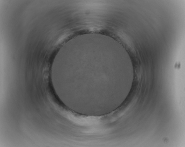 X0000092250032200709141157